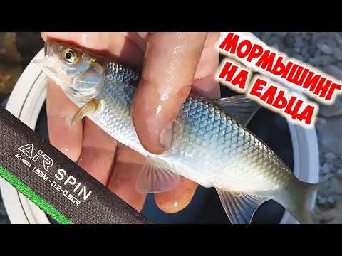 Видео: ЕЛЕЦ НА MIFINE AIR SPIN. МОРМЫШИНГ НА АНГАРЕ.