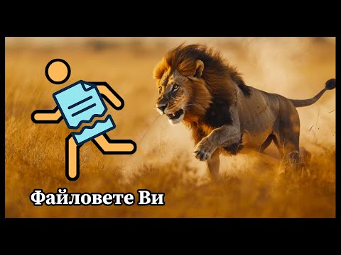 Видео: Спасете данните си с тази програма!