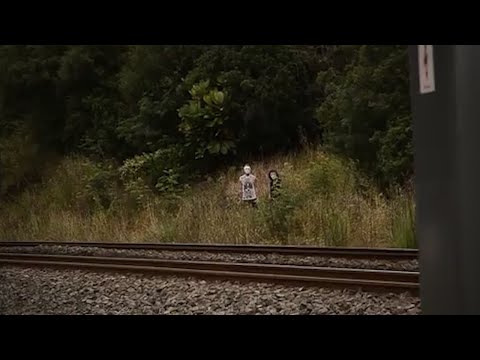 Видео: 6 самых тревожных встреч в лесу, запечатлённых на камеру