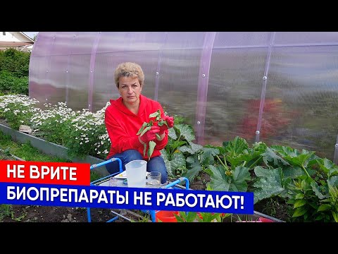 Видео: Не врите, БИОпрепараты не работают!