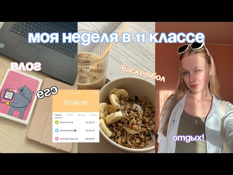 Видео: МЕСЯЦ ДО ЕГЭ | МОЯ ЖИЗНЬ И ПОДГОТОВКА | егэ биология профмат русский