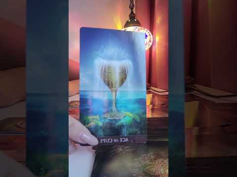 Видео: 🪄КАКЪВ ЩЕ БЪДЕ БЪДЕЩИЯТ МИ ПАРТНЬОР 🪄#ТАРО #ТАРОКАРТИ
