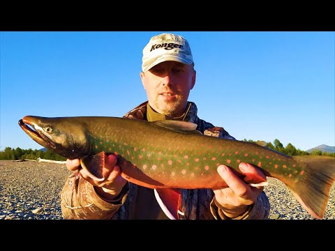 Видео: Рыбалка в ТАЙГЕ на очень СЕКРЕТНОЙ реке. Fishing on a Top Secret Siberian river (Часть 1)