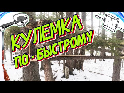 Видео: Как Сделать Кулемку на Соболя в Лесу.