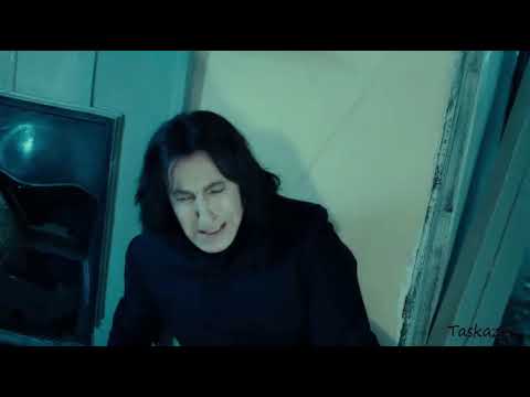 Видео: Северус Снейп - Волчье солнце