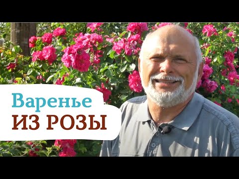 Видео: Роза, как лекарственное растение. Рецепт удивительного варенья из роз!