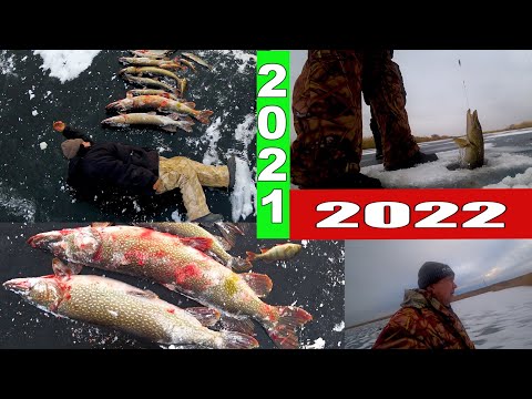 Видео: 💥РЫБАЛКА ПО ПЕРВОМУ ЛЬДУ!2021-2022💥