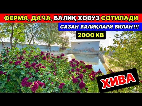 Видео: ХИВА ФЕРМАХОНА, БАЛИҚ ХОВУЗ, ДАЧА СОТИЛАДИ ХИВА 19-сентября 2025 г.