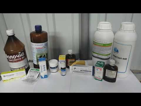 Видео: Аптечка для кроликов 2020