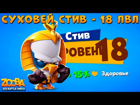 Видео: КАЧАЕМ СУХОВЕЯ ОРЛА СТИВА НА 18 УРОВЕНЬ В ИГРЕ ZOOBA