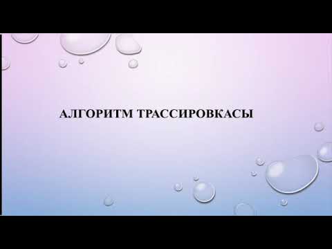 Видео: Ашық сабақ:  " Алгоритм трассировкасы"