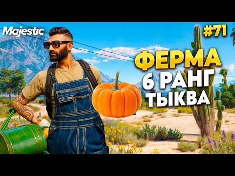 Видео: ФЕРМЕР 6 РАНГА, А ТЫКВА СТОИТ ДЕНЕГ НА MAJESTIC RP / GTA 5 RP.  ПРОМО - TAXI