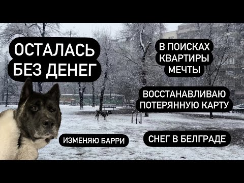 Видео: Белград влог. Поиск квартиры мечты. Осталась без денег.