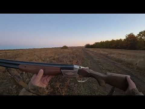 Видео: Охота с Гончими 2025 26г