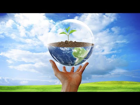 Видео: Модуль 4. Экология популяции – демэкология