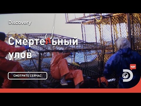 Видео: Риск ради денег | Смертельный улов | Discovery