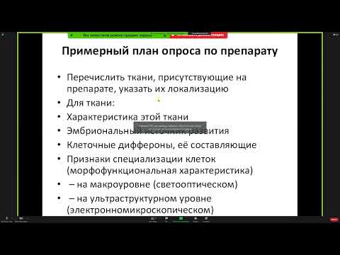Видео: Консультация к 1 коллоквиуму - Кутукова К.А.