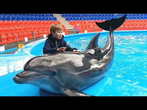 Видео: ПЛАВАНИЕ С ДЕЛЬФИНАМИ Сочи Парк ДЕЛЬФИНАРИЙ 3 марта 2023г