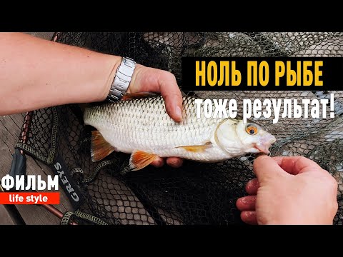 Видео: Рыба есть, но не у нас, смотри до конца!