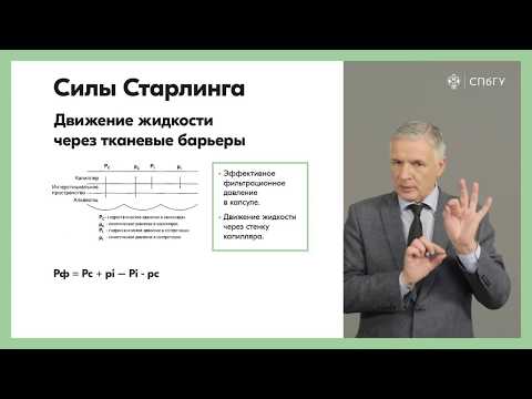Видео: Межклеточные контакты и их функции  Силы Старлинга