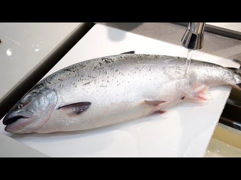 Видео: Я увидел лосося в продаже по невероятной цене, поэтому я попытался его переработать...