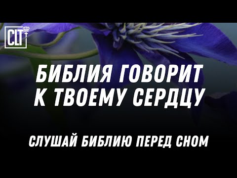 Видео: Покой в Боге: Стихи из Писания, которые действуют как бальзам на душу #Relaxing #Библия #мир_в_душе
