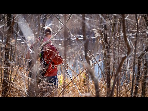 Видео: Вужи повзають по ногах,а Жаби біля Поплавків нерестяться.Болота Полісся оживають