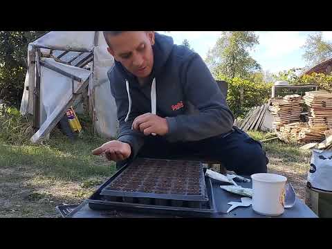 Видео: 8 октомври 2025 г.