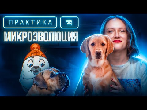 Видео: Микроэволюция | ЕГЭ-2025 по биологии
