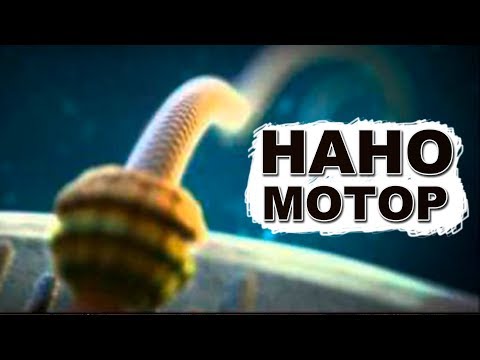 Видео: Кто встроил электромотор в бактерии? Выдает 100 000 об/мин!
