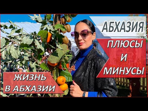 Видео: АБХАЗИЯ. ПЛЮСЫ и МИНУСЫ жизни в Абхазии. ВПЕЧАТЛЕНИЯ от жизни в АБХАЗИИ