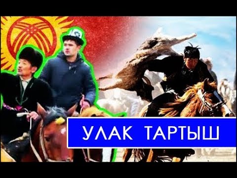 Видео: Миң чынар Улак // Кутпидин палван // ULTRA STUDIO