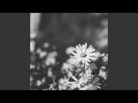 Видео: Цербер