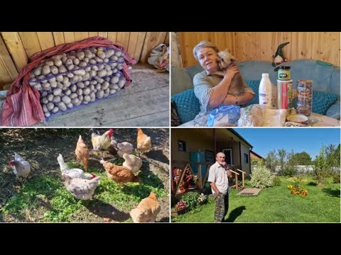 Видео: КУПИЛИ КАРТОШКУ И ЕЩЕ КОЕ ЧЕГО, ПОСМОТРИМ ПОКУПКИ. ПЕДРО ПОЛУЧИЛ ЗВЕЗДЮЛЕЙ.