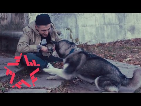 Видео: KAVABANGA DEPO KOLIBRI - УБЕЙ (Arseny Troshin prod)