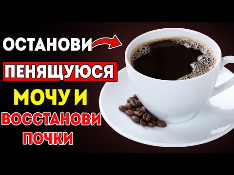 Видео: Прощай, Протеинурия! 3 Напитка, Которые ПОЖИЛЫЕ ДОЛЖНЫ Употреблять, и 4, Которых НИКОГДА Не Следует