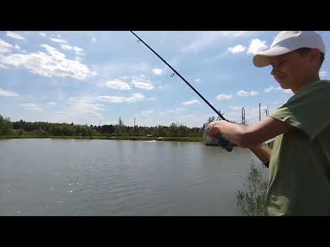 Видео: Карп на платной рыбалке в ефиминово| рыбалка на платной рыбалке 
