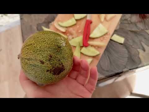 Видео: Первые заморозки, делаем забор.