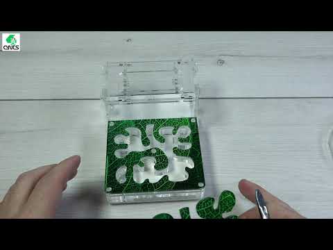 Видео: Подробная видео инструкция Муравьиная ферма start от 4ants