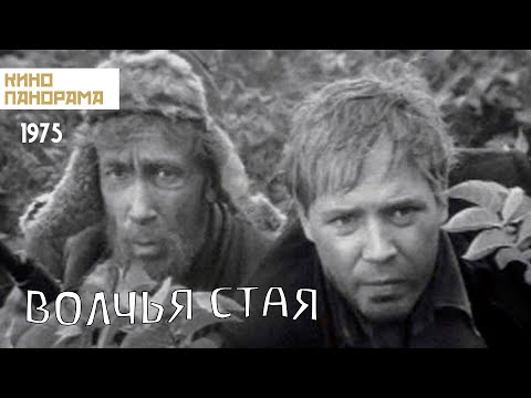 Видео: Волчья стая (1975 год) драма
