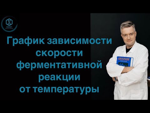 Видео: График зависимости скорости реакции от температуры