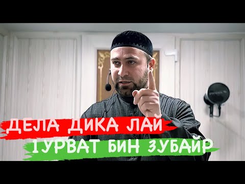 Видео: Ч1ОГ1А ХАЗА ХЬЕХАМ (1УРВАТ БИН ЗУБАЙР)