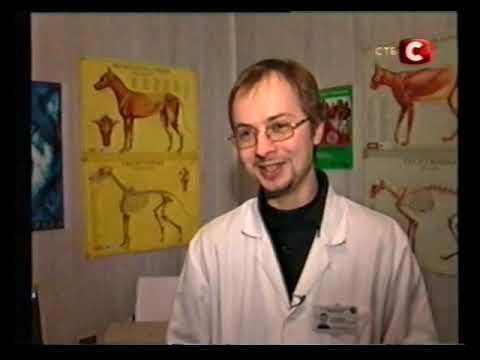 Видео: Паралельний свiт (неполный; СТБ, 2006)