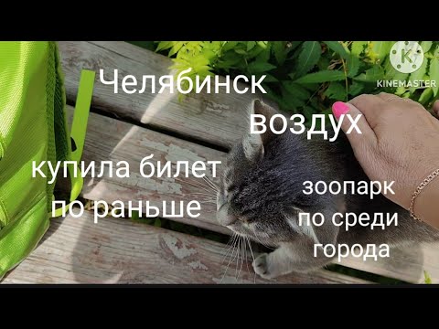 Видео: Влог: Купила Билет по раньше/ Челябинск/ Воздух?!?/  Зоопарк по среди города/