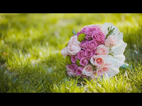 Видео: Цыганская свадьба Пыша и Мадонна Ваня Канученко удел кай у Пава Бутылкуря