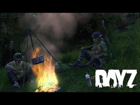 Видео: Прогулка по окрестностям Ливонии | DayZ Livonia
