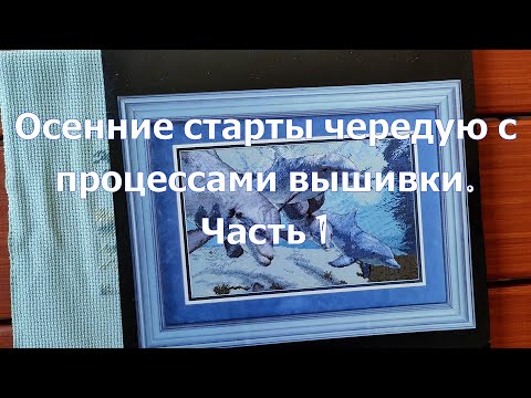 Видео: Осенние старты чередую с процессами вышивки. Часть 1