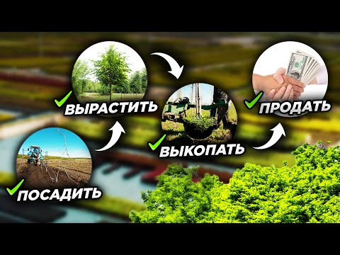 Видео: 🌳💰"Обычный" день из жизни питомника растений: апрель 2024