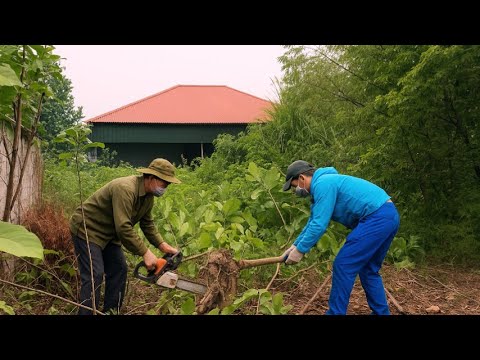 Видео: Нужно пройти через ТРОПИЧЕСКИЕ ДЖУНГЛИ, чтобы увидеть ТАИНСТВЕННЫЙ заброшенный дом.