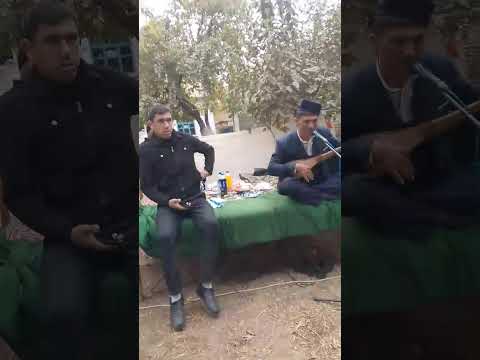 Видео: Кобил бахши узун тумани Чакар махалласида Сардорбой туйида хизматда 